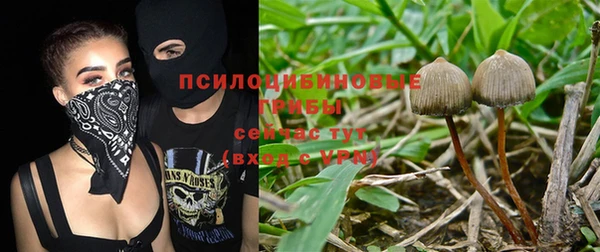 2c-b Осинники