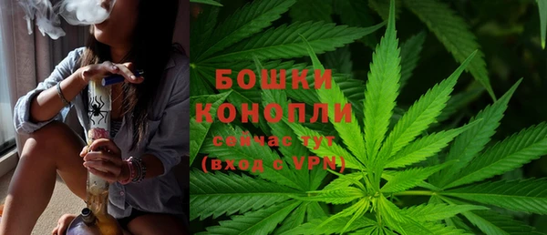 метадон Осташков