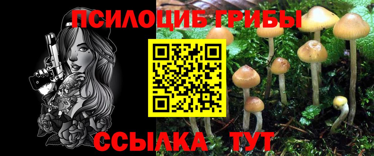 Псилоцибиновые грибы Psilocybe  Вход с VPN  Псилоцибиновые грибы MAGIC MUSHROOMS  Ачинск 