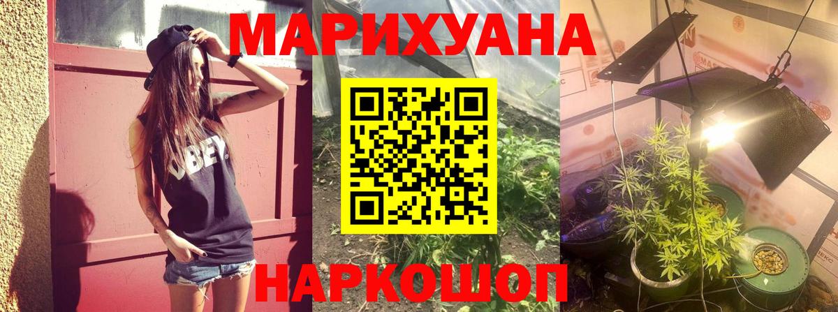 Конопля семена Ачинск